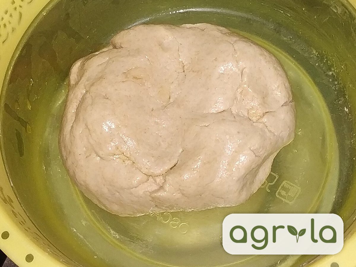 Bread Flour