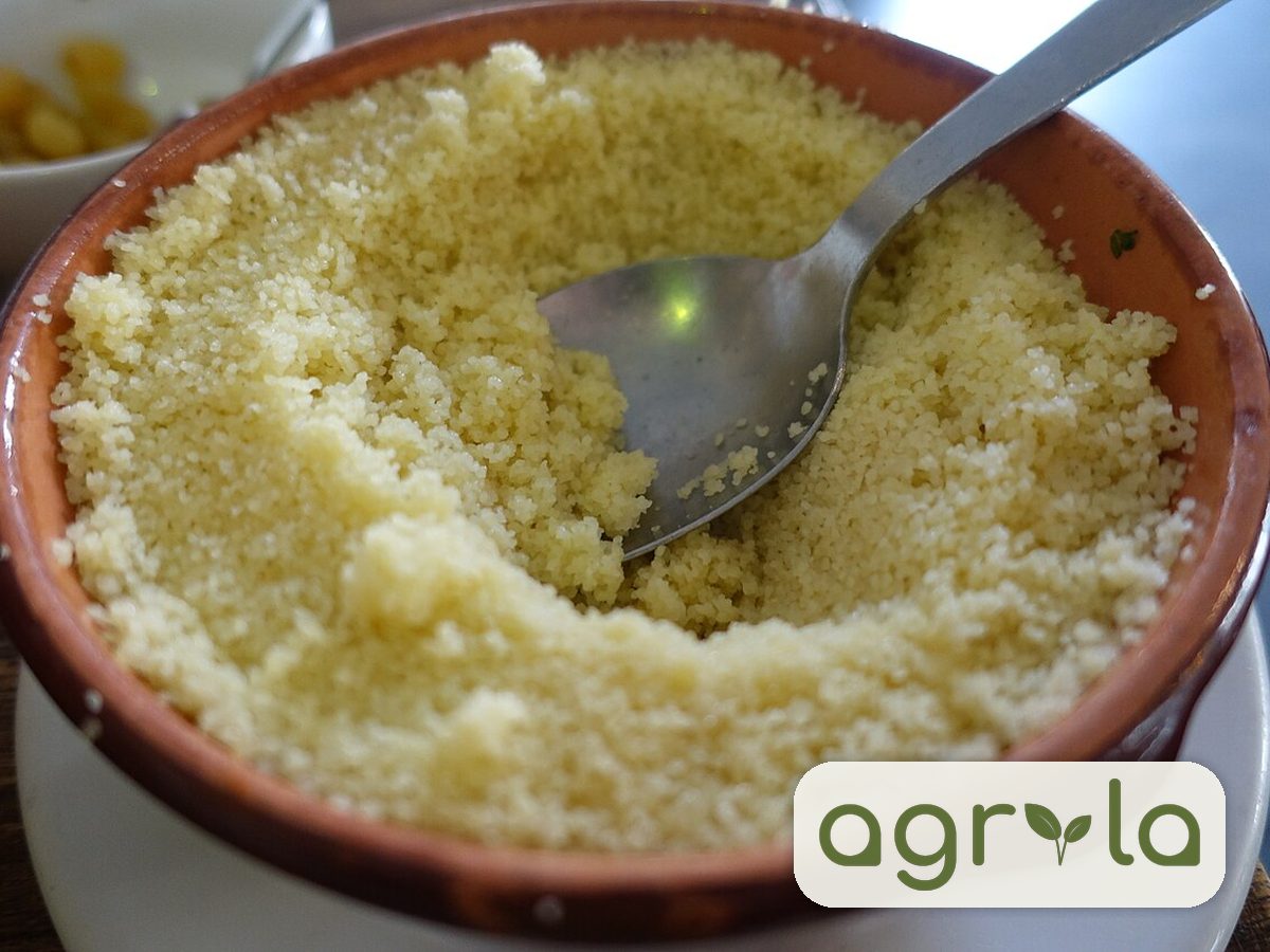 Durum semolina