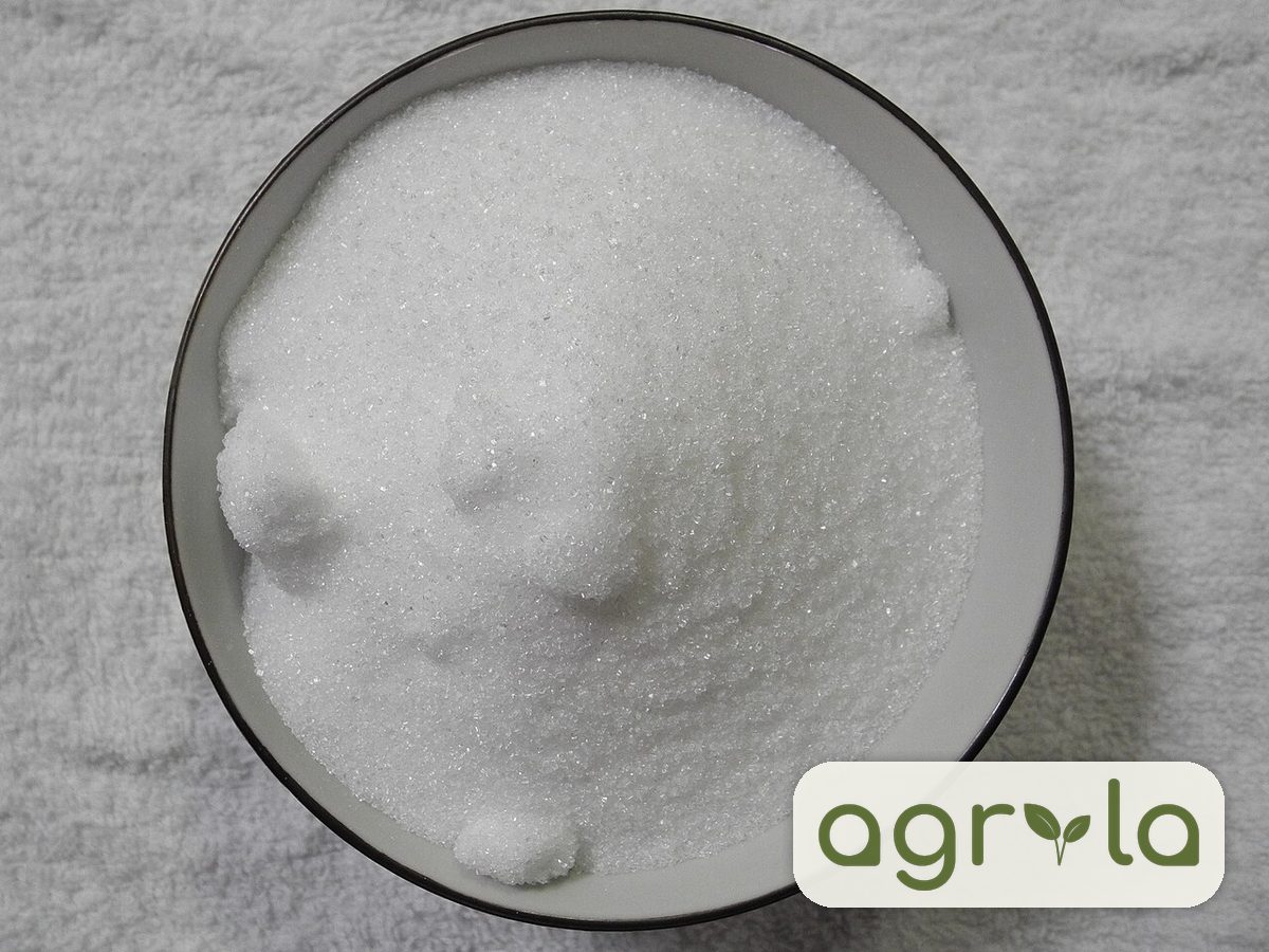 Refined white sugar, ICUMSA 45
